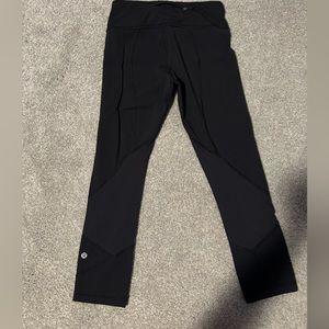 Pace rival crop 22”